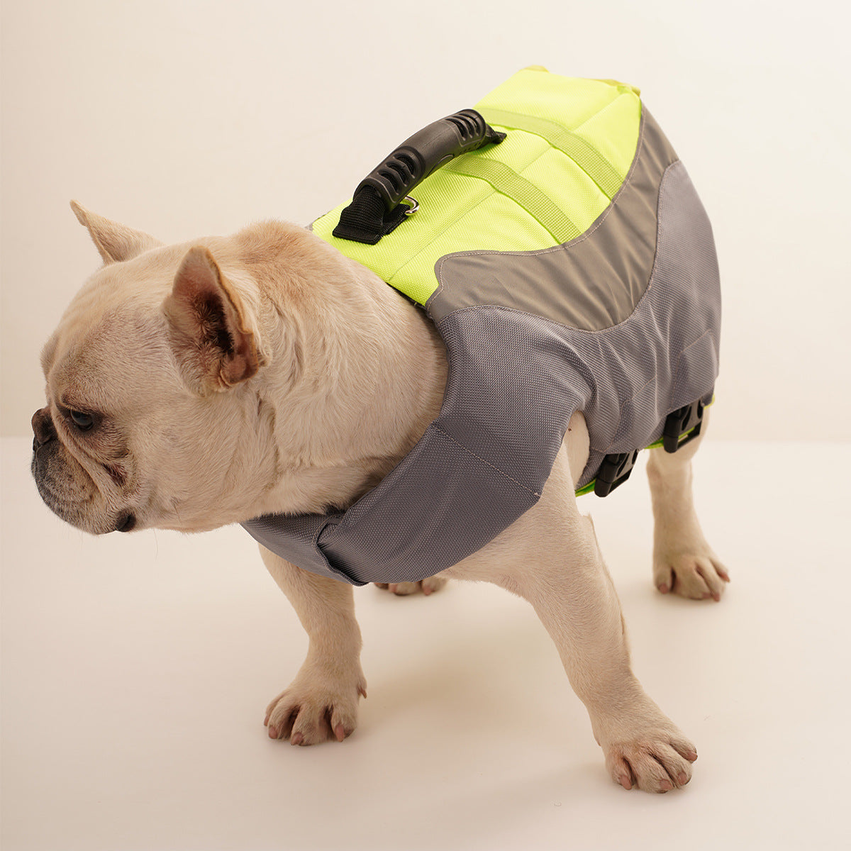 Get Your Pet Ready for Summer: Reflective Pet Life Jacket for Swimming Safety